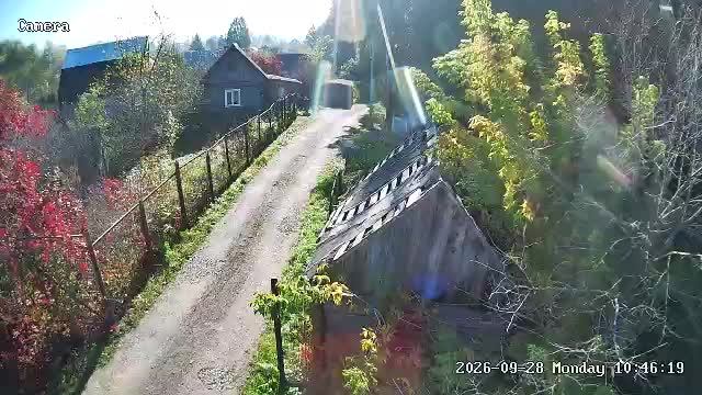 LIVE: Channel81406162