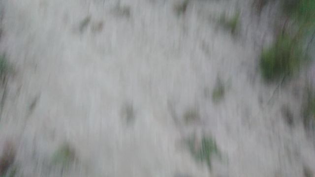 VID20210330180623
