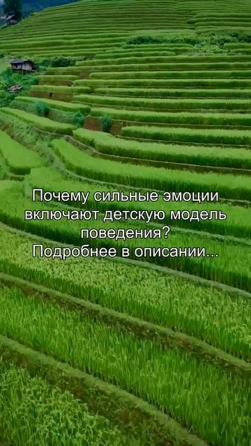 Ты когда-нибудь кричал, топал ногой или хлопал дверью, как ребёнок? Конечно. Ты не истерик. Ты прост