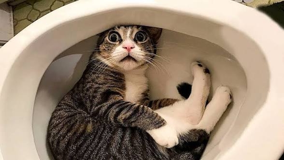 ЮМОР И ПРИКОЛЫ 😜😜😜