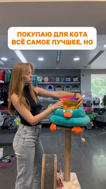 У нас вы найдёте всё самое лучшее для котиков!😸