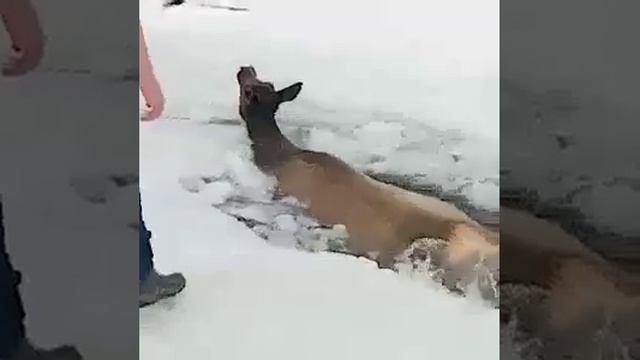БЫВАЕТ
