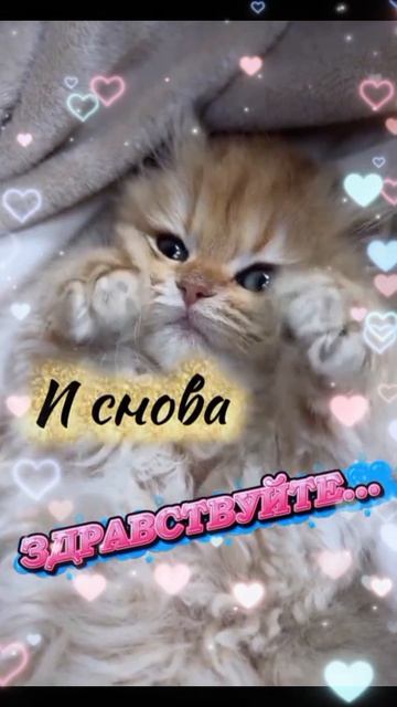 ❤️Доброе утро ❤️