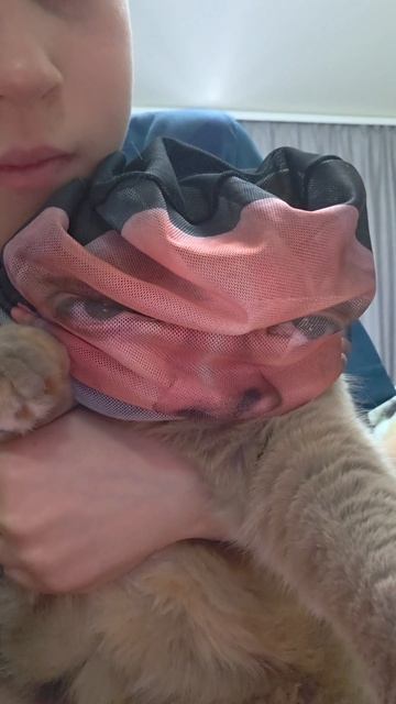 скала