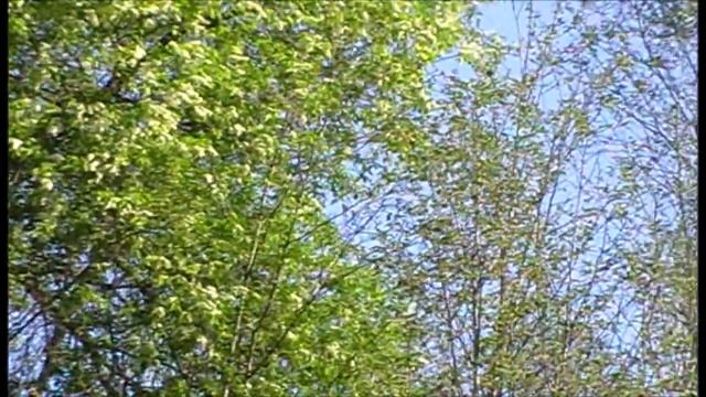 20 ТЁБЗА 18 ЭПИЗОДЫ Эпизод IV РЕЛАКС