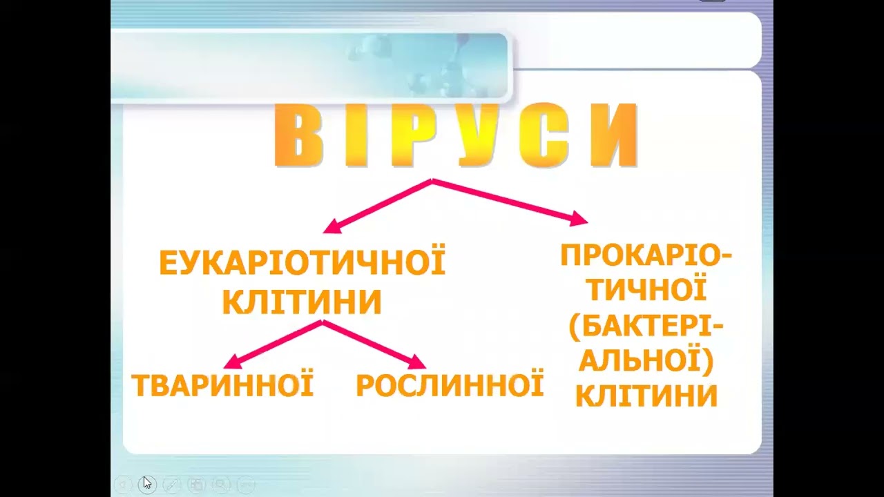 Лекція від 10 05 22