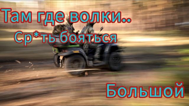 Большой - Там где волки ...ср*ть бояться