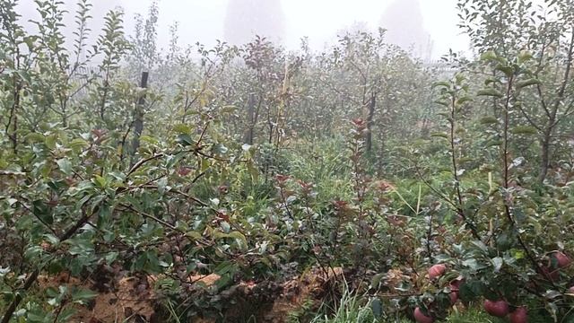 Утро, приступаю к работе
