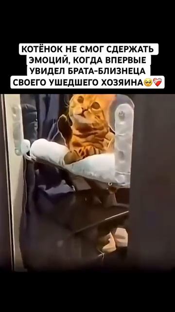 Скучает🥺