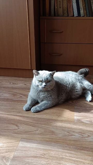 Вилли.