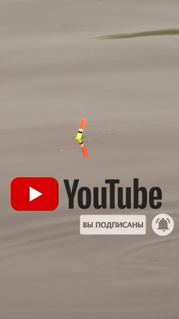 Поплавок в Астрахани