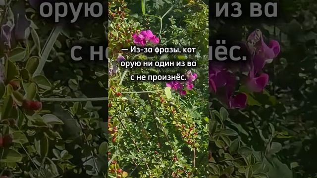 монолог мудреца