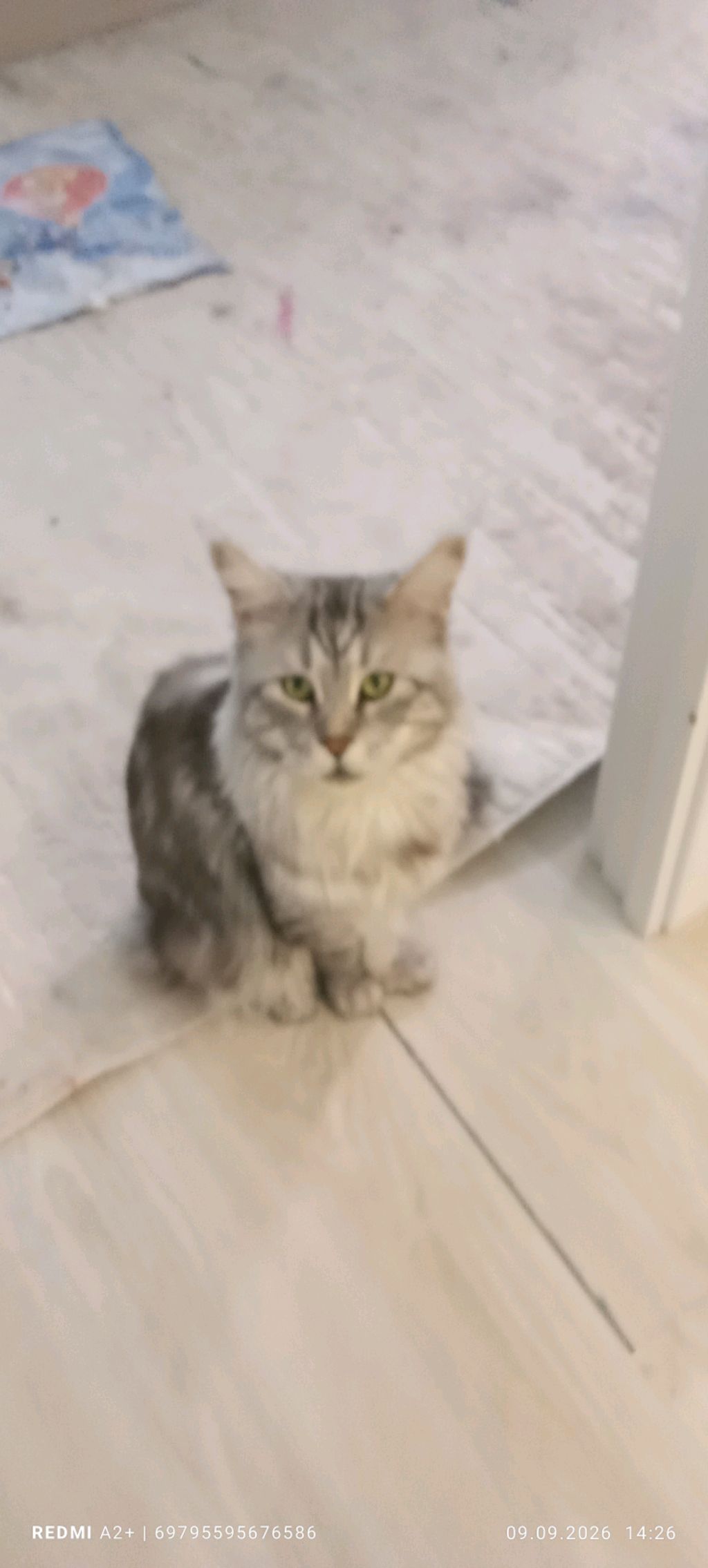 вот припёрся