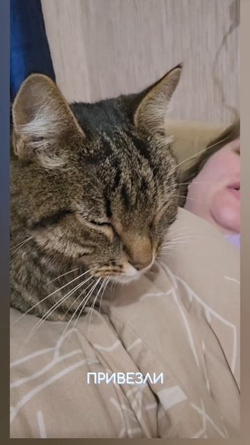 Вернулся домой🐱🏠