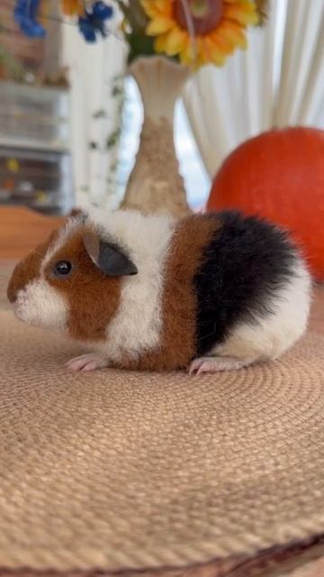 ❤🐹Морская Свинка Американский Тедди 
✔Продажа малышей в макс и телеграм канале: Https://t.me/BANDELo