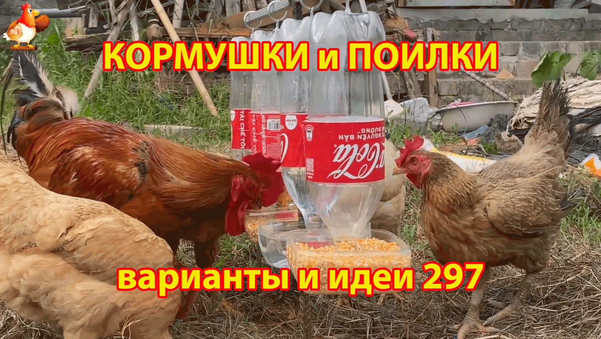Кормушки и поилки для кур своими руками (297) 🪚✂️ Пошаговая инструкция как сделать 🐔 🐓❣️