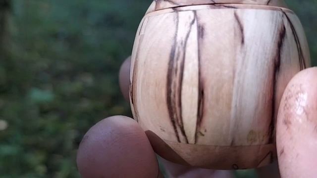 Шкатулка в сентябрьском лесу  с мухоморами