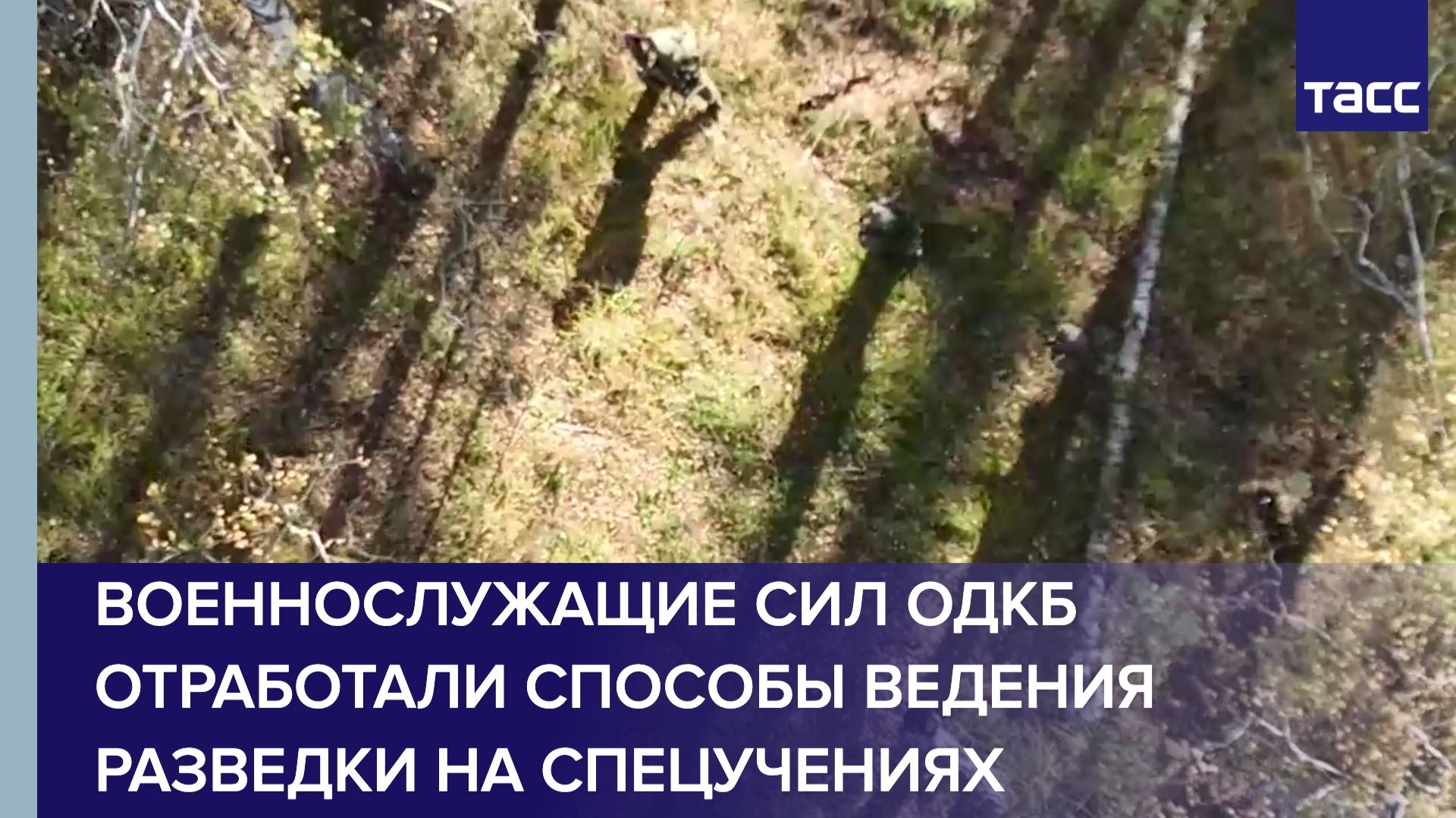 Военнослужащие сил ОДКБ отработали способы ведения разведки на спецучениях