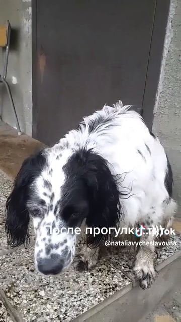 После прогулки...)))
