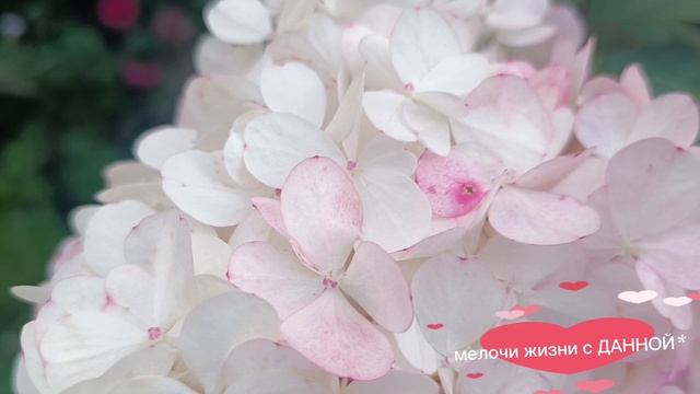 ПРОСТО❤😘 🎤🎼🎹🎶МУЗЫКА НО КАКАЯ КЛАССНАЯ. НАХОЖУ СЧАСТЬЕ В МЕЛОЧАХ.