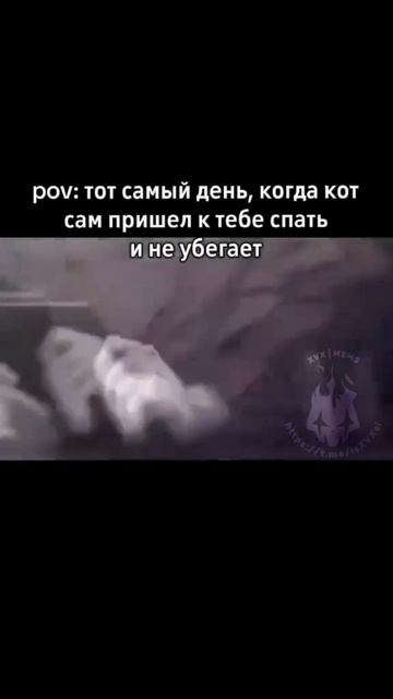 ПОДПИШИСЬ

#мем #мемы #рек #рекомендации #рофл #шутка #юмор #смех #смешныевидео #fyp #mem #mems #xvx