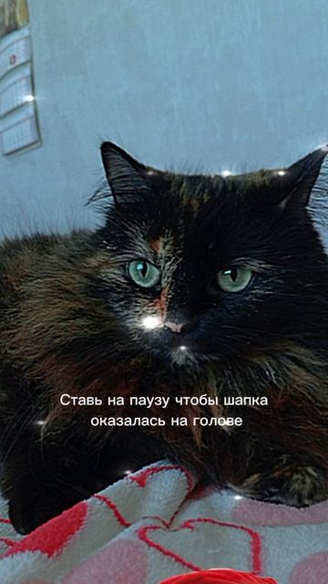 Пауза: Ляля в шапке