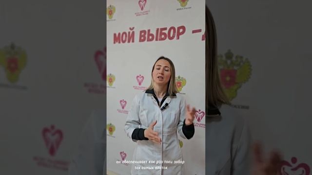 Самые распространенные вопросы-мифы о донорстве костного мозга и ответы