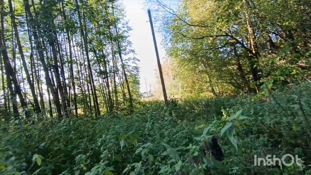 Дачный день,28.09
