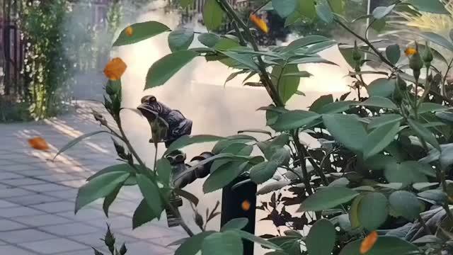 Лето - маленькая жизнь 💓... Из домашнего альбома
