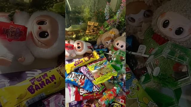 ASMR Chocolate Live! Chocolate ASMR For Your Pleasure, Satisfaction, And Sleep.