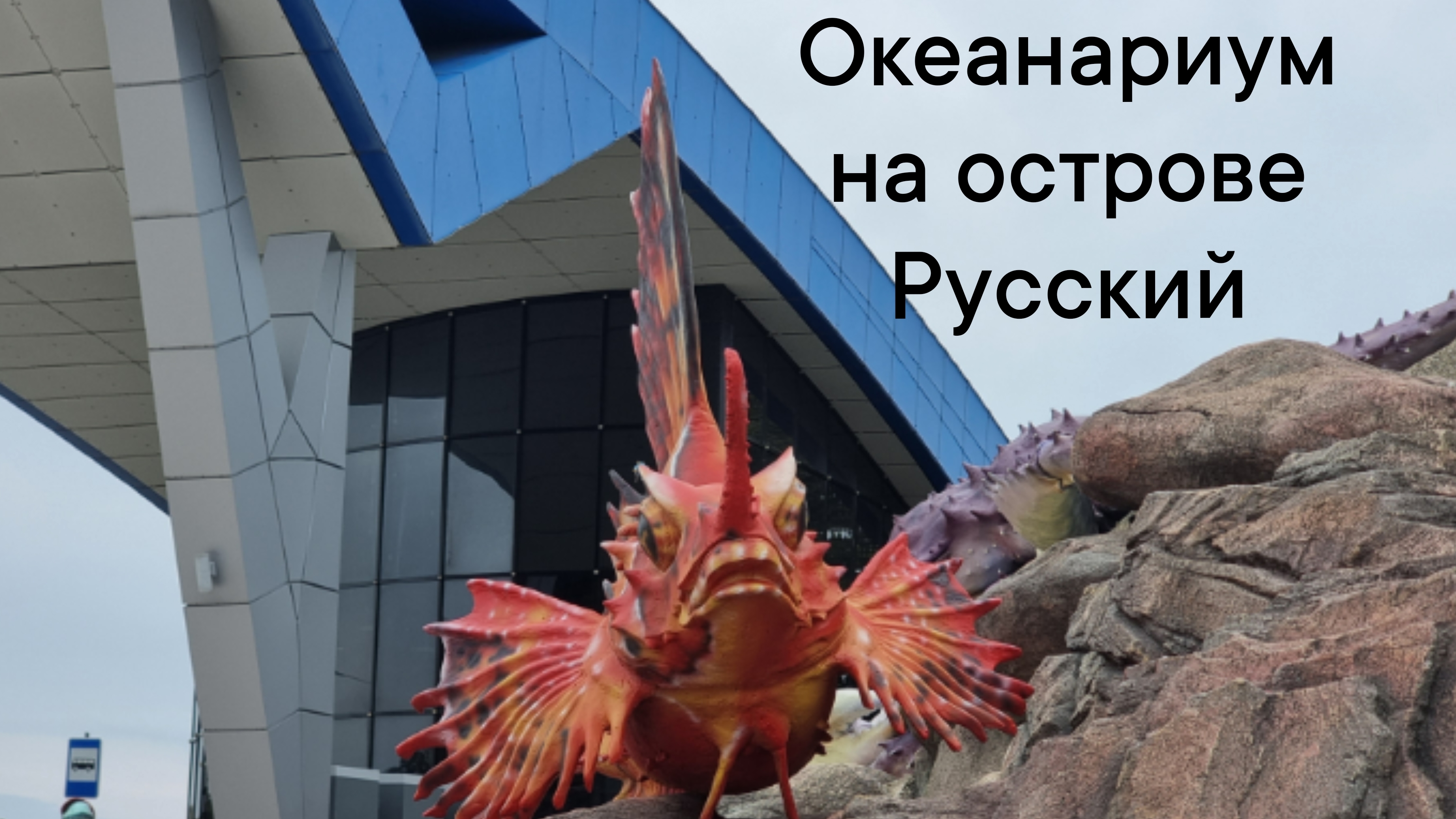 Океанариум на острове Русский, Владивосток, 2026