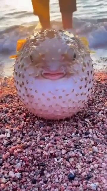БЫВАЕТ