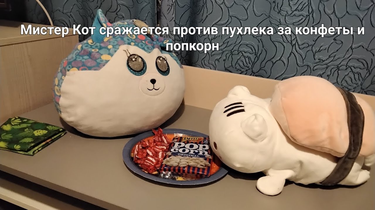 Мистер Кот сражается против пухляка за конфеты и попкорн