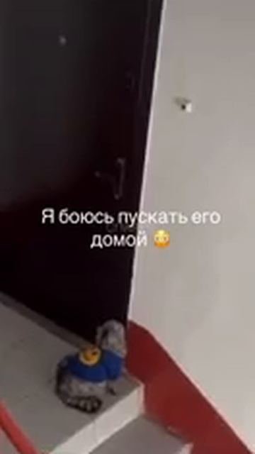 открой