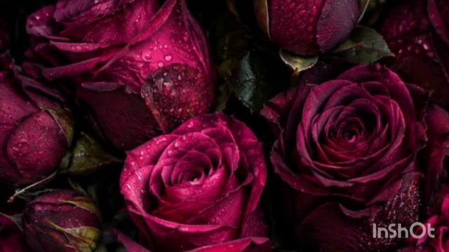 ВЕНЕРА В РЕТРО фазе с  3 октября по 13 ноября - МЕРКУРИЙ И ВЕНЕРА В ВЕСАХ.