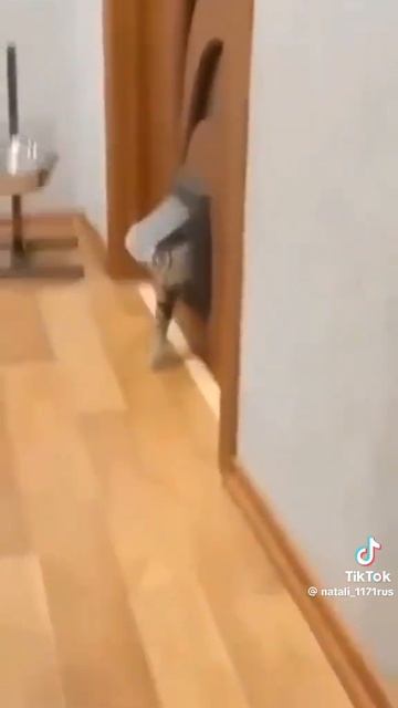 Крутые разборки