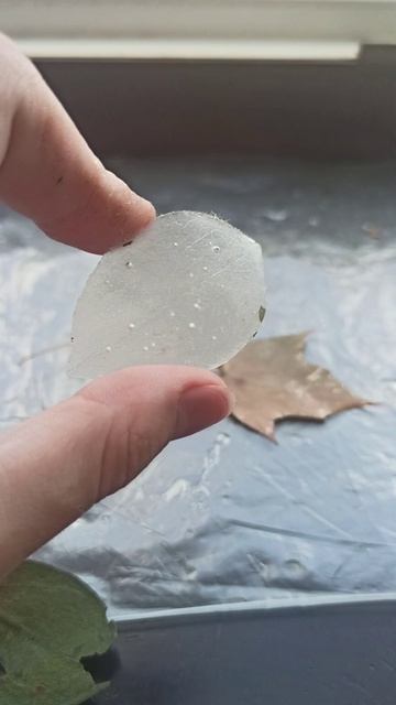 украшения из УФ смолы листики🍂✨