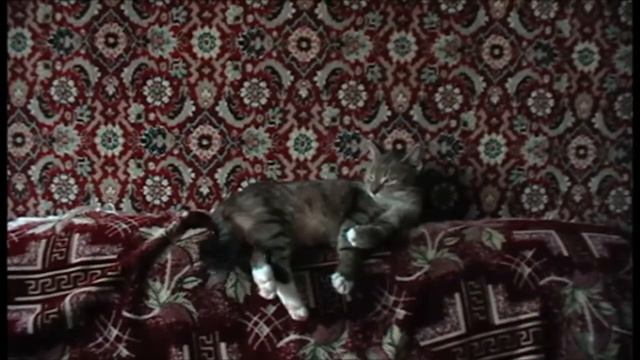 Муся сердится