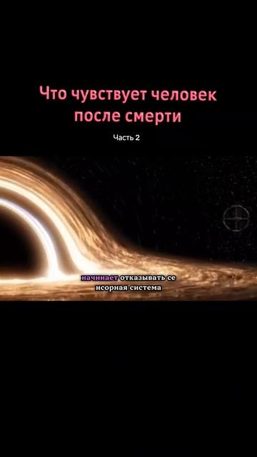 каждый человек при жизни об этом думает 🤔