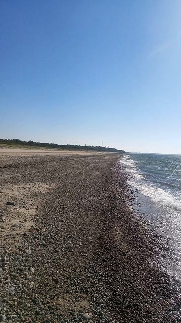 янтарный осень 26го