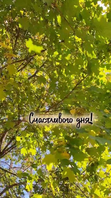 Пусть все дела решаются легко, будто сами собой, не нарушая гармонии.#смейсялюбиживи