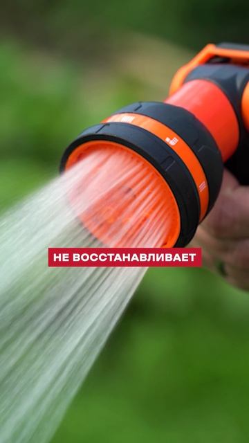 Вся ПРАВДА про ОСЕННИЙ полив огорода! #огород #садовод #советыдляогорода