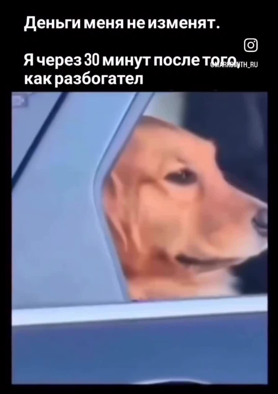 #смех #Угар #мемы