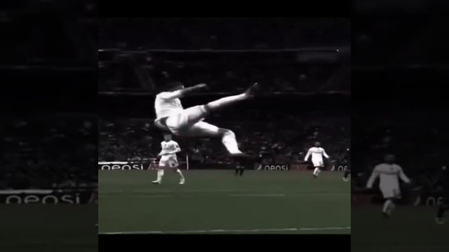 Video_15787114520463