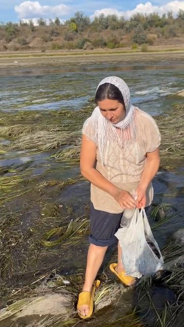 В Окницком районе люди собирают рыбу в пакеты с обмелевших участков Днестра