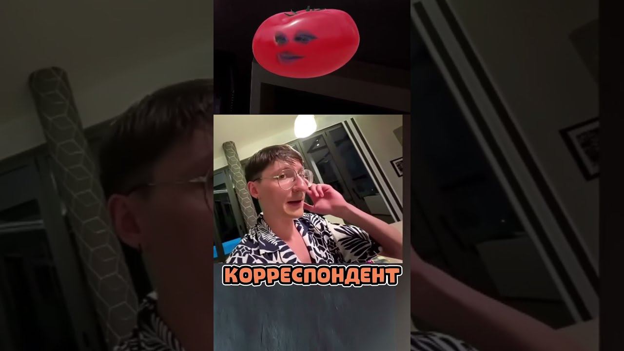 Специальный корреспондент #тай #sleduck #питомник #IRL #shorts #челлендж #мемы