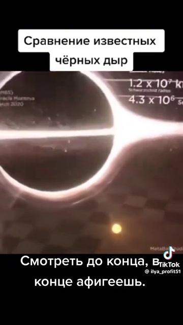 Black Holes