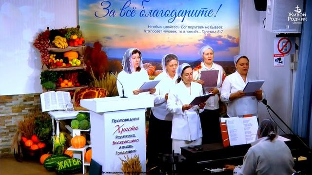 Согревало солнце землю