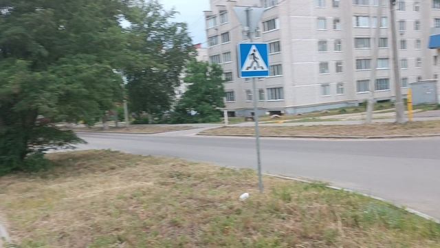 VID_20230614_142245