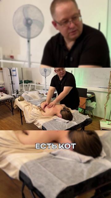 Как работает массаж #массаж #reels #recipe #pain #anatomy #massage #terapia #test #live #sports #fit